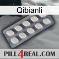 Qibianli 08